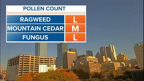 allergies today dallas|cedar pollen count dallas.